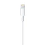 Apple Lightning to USB Cable (1 m)